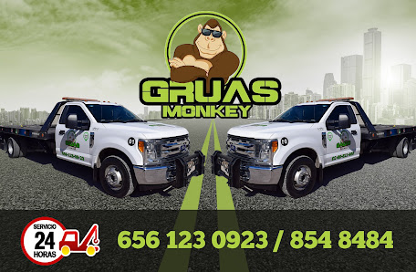 Grúas Monkey